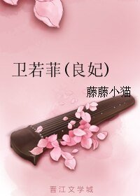 《卫若菲(良妃)》