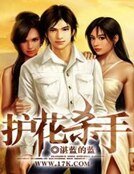 《护花杀手》