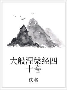 《大般涅槃经四十卷》