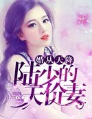 《婚从天降:陆少的天价妻》