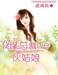 《伪装总裁的灰姑娘》