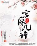 《宫深几许》