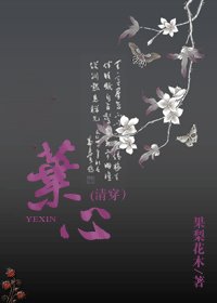 《叶心(清穿)》