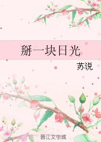 《掰一块日光》