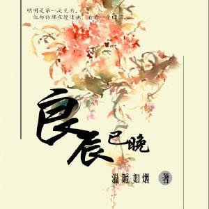 《良辰已晚》