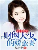 《豪门盛宠:财阀大少的娇蛮妻》