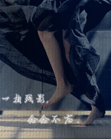 《一掬残影,念念不忘。》