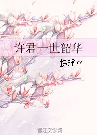 《许君一世韶华》