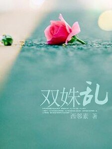 《双姝乱》