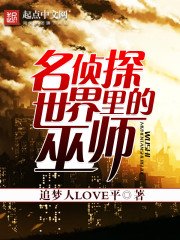 《名侦探世界里的巫师》
