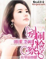 《前妻逆袭:别闹了,检察官》