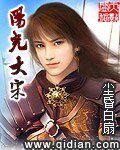 《阳光大宋》