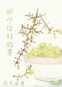 《那些恰好的事》