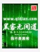 黑客无间岛