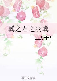 翼之君之羽翼