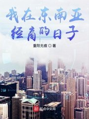 《我在东南亚经商的日子》