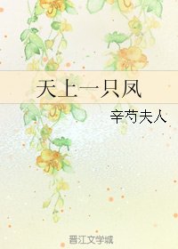 天上一只凤