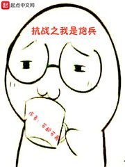 《抗战之我是炮兵》