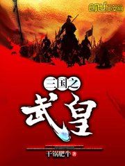 《三国之武皇》