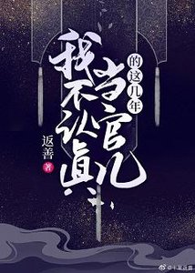 《我不认真当官儿的这几年》