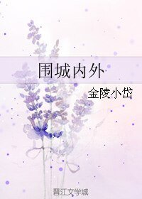 《围城内外》