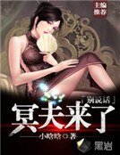 《冥夫来了,别说话》