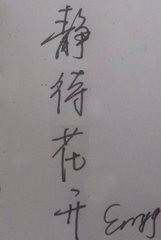 《静待花开》