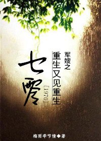 《七零军嫂之重生又见重生》