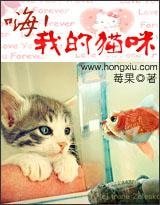 《嗨,我的猫咪》
