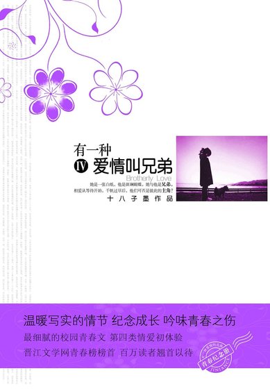 《有一种爱情叫兄弟(出书版)》