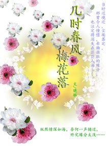 《几时春风梅花落》