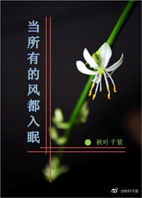 《当所有的风都入眠》