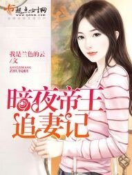 暗夜帝王追妻记