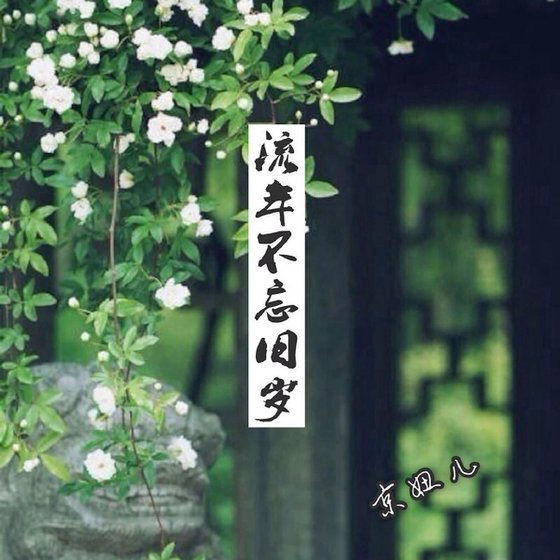 《流年不忘旧岁》
