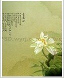 《青春那颗熬伤的糖》
