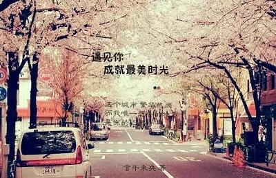 《遇见你成就最美时光》