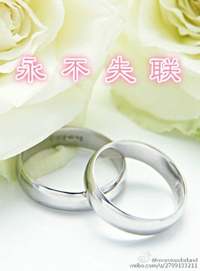 永不失联