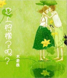 恋上柠檬了吗？（又名：终点爱）