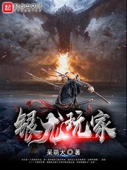 《银龙玩家》