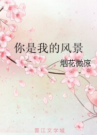 你是我的风景