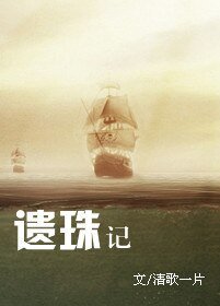 《遗珠记》