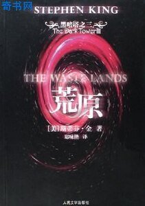 《黑暗塔系列之三:荒原》