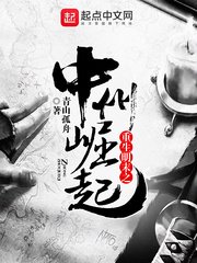 《重生明末之中州崛起》