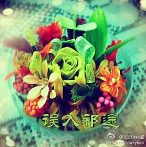 误入祁途