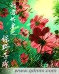逃爱娇妻之绿野芳踪