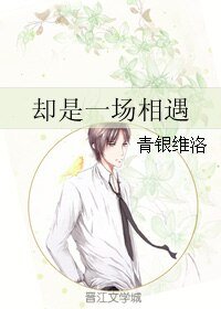 《却是一场相遇》