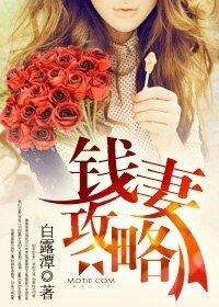 《钱妻攻略》