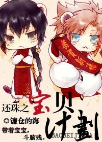 （还珠同人）还珠之宝贝计划