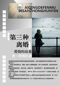 《爱情的坟墓:第三种离婚》