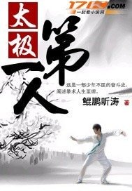 《太极第一人》